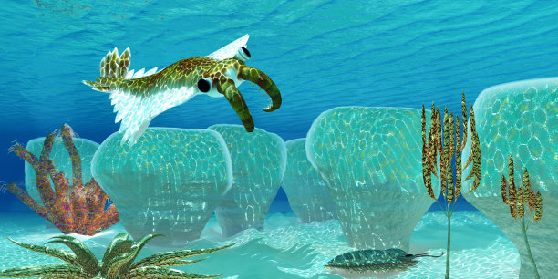 海洋Anomalocaris图片下载