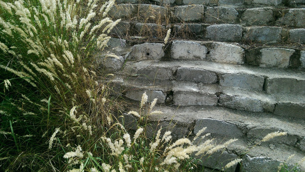 自然背景图片下载