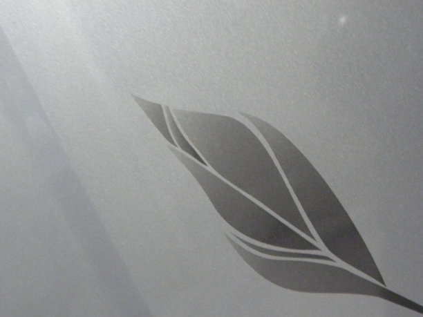 灰色叶子图片下载