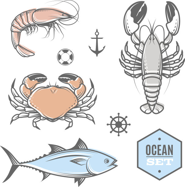 航海集图片下载