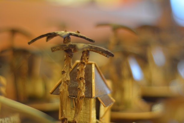 椰子，树，纪念品，50毫米，摄影图片下载