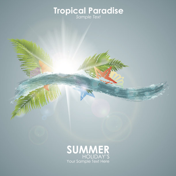 夏天的背景。抽象的蓝色海浪与贝壳，棕榈叶图片下载