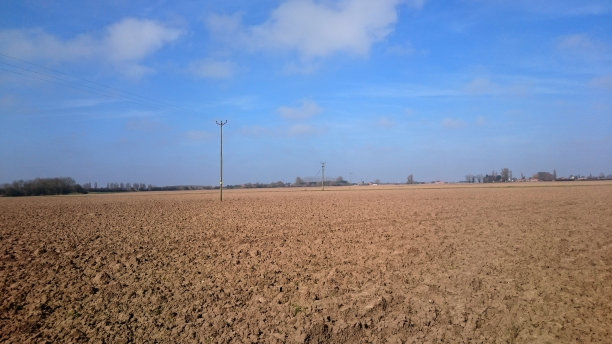 刚耕过的田里图片下载