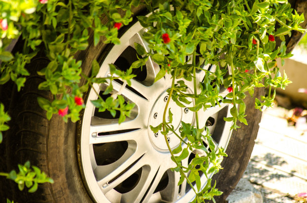 盛开的轮子图片下载