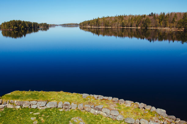 湖上有草地和远处的森林图片下载