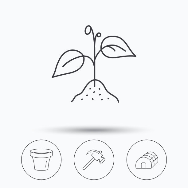 发芽植物，锤子和锅的图标。图片下载