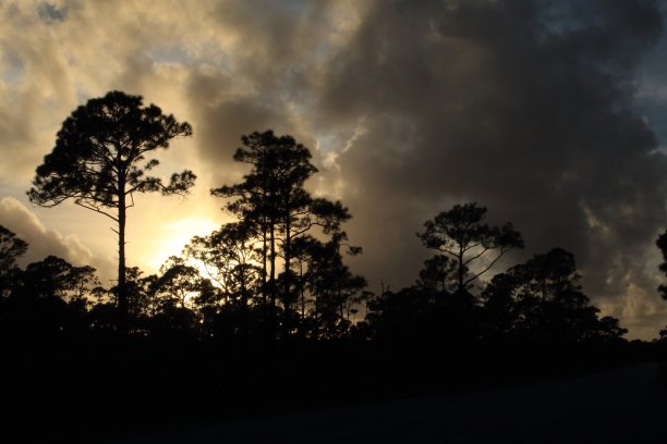 神的战争图片下载