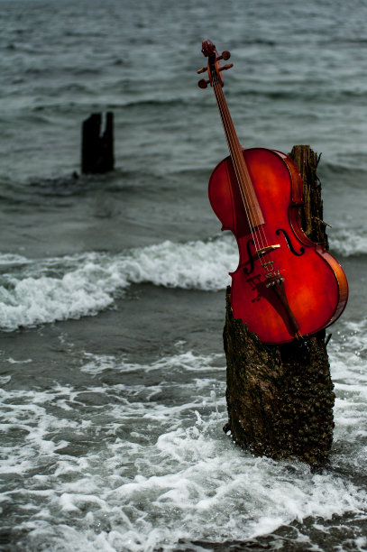 冲浪中的大提琴图片下载