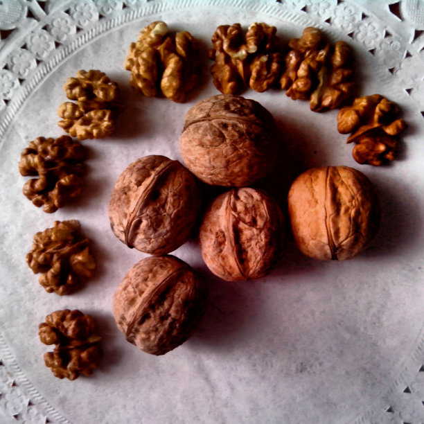 核桃。图片下载