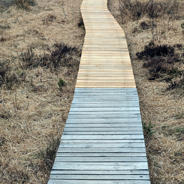 颜色的变化图片下载