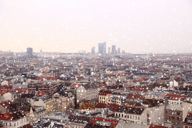 维也纳的屋顶上覆盖着积雪图片下载