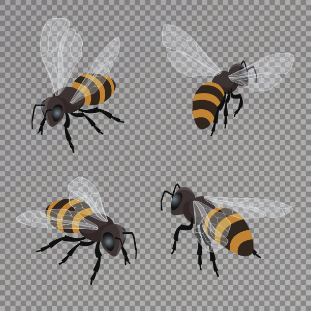 蜜蜂矢量设置在一个透明的背景。图片下载