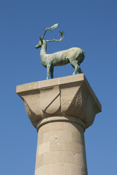 鹿的罗兹图片下载