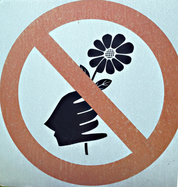 标志没有花图片下载