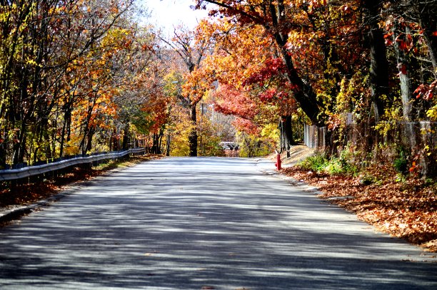 一个秋天的道路。图片下载