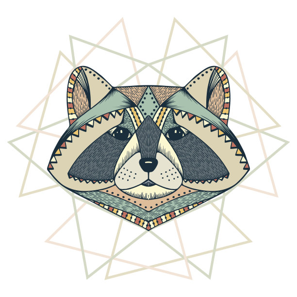 种族的动物。部落的浣熊。浣熊头部。手绘插图图片下载