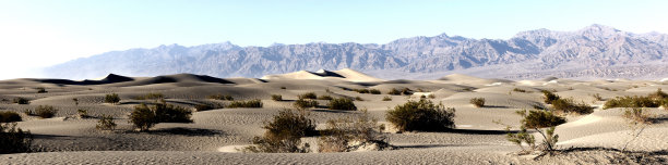 牧豆树平原沙丘图片下载