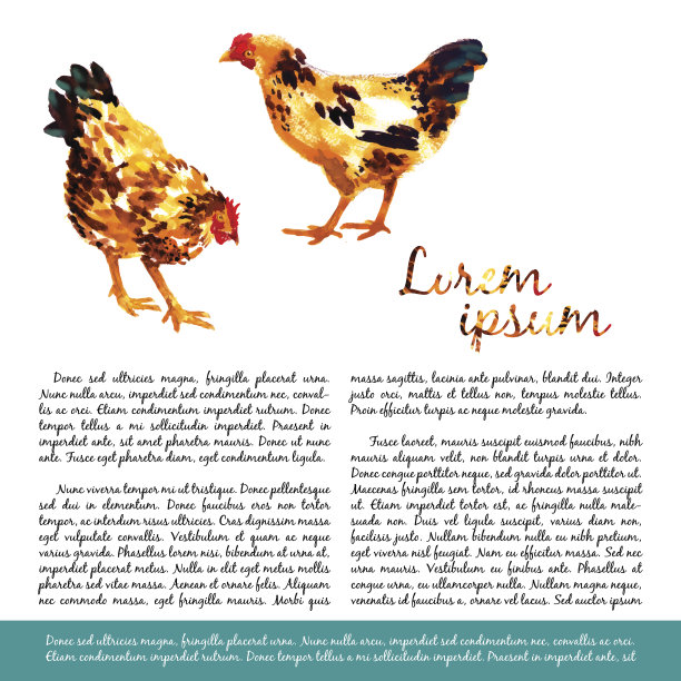 设计模板与水彩母鸡图片下载