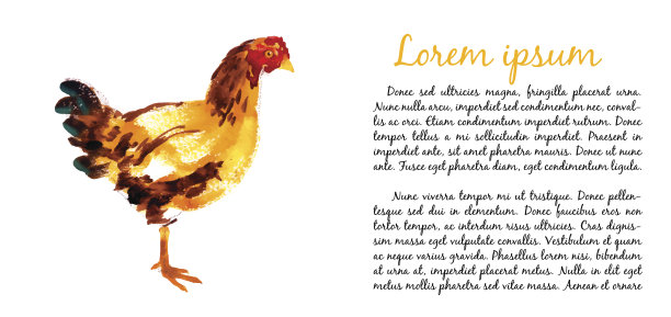 设计模板与水彩母鸡图片下载