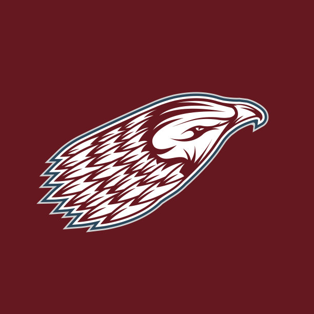 鹰矢量图素材ID：127420264