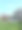 泳池边园艺背景，3d渲染图片下载