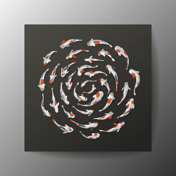 锦鲤鱼的背景图片下载