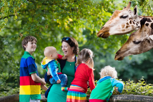 妈妈和孩子们在动物园喂长颈鹿素材图片