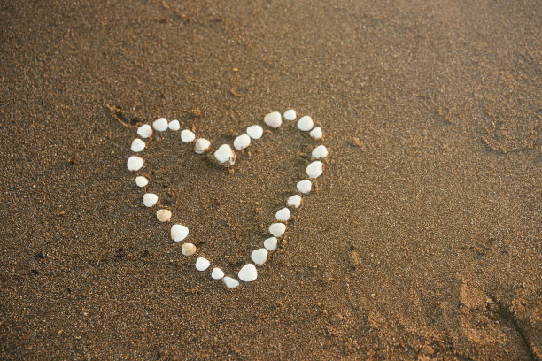 壳牌的心图片下载