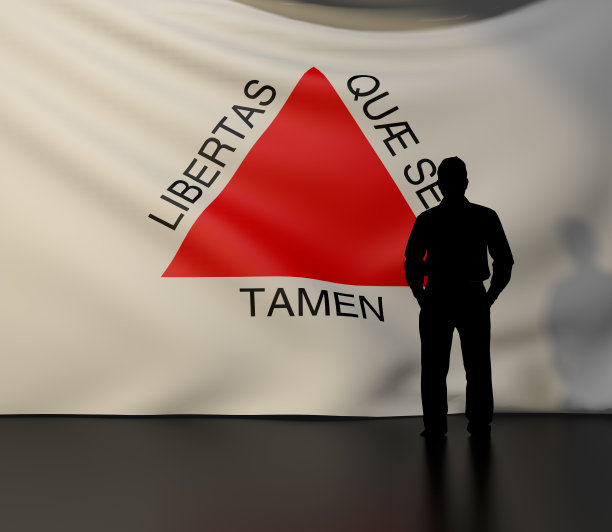 男子在米纳斯吉拉斯州国旗前剪影图片下载