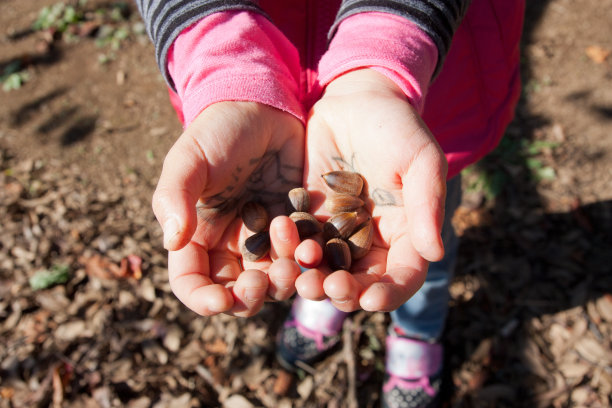 孩子的手图片下载