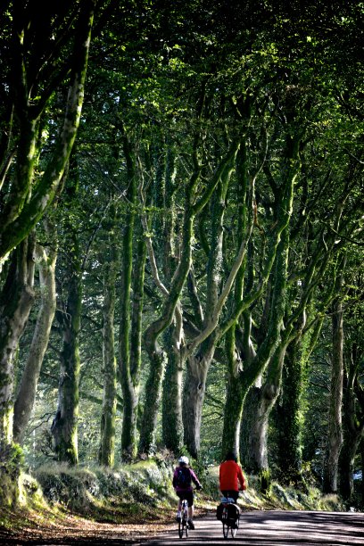 阳光明媚的骑自行车图片下载