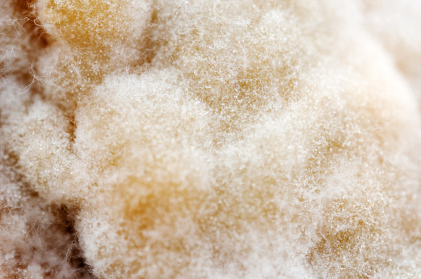 特写的模具图片下载