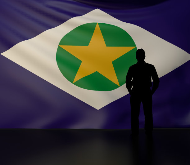 男子在马托格罗索州国旗前剪影图片下载