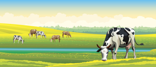 牛和绿色的草地。农村景观。素材图片