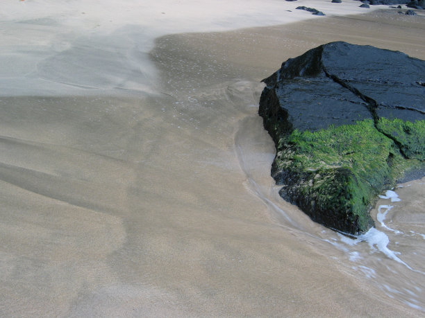 黑色和褐色图片下载