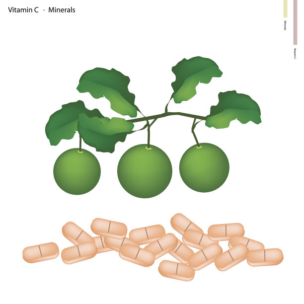 新鲜酸橙含有维生素C和矿物质素材图片