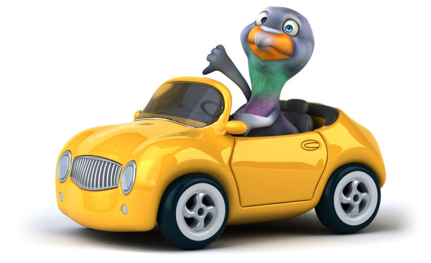 有趣的鸽子图片下载