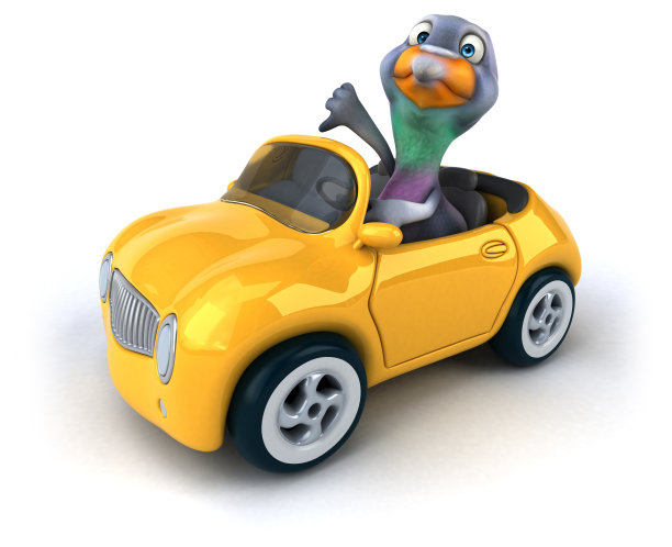 有趣的鸽子图片下载