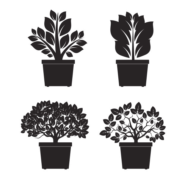 黑色的花和花盆。矢量插图。图片下载