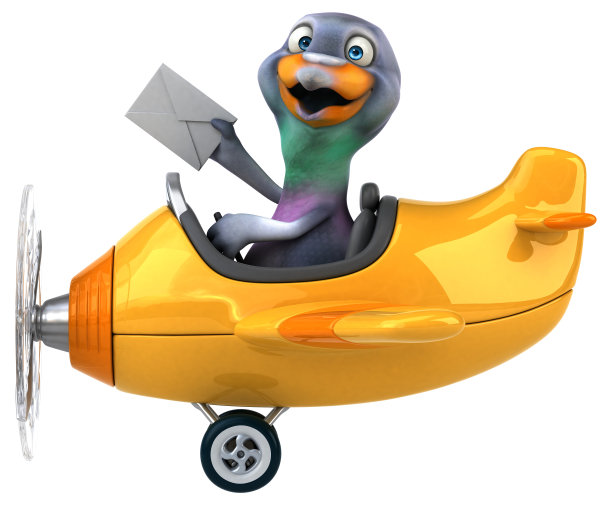 有趣的鸽子图片下载