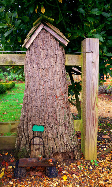 仙女门在树屋图片下载