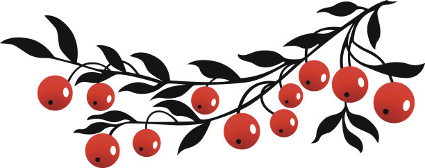 蔓越莓图片下载