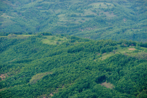 森林鸟瞰图图片下载