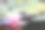 百合花图片素材ID：127501888