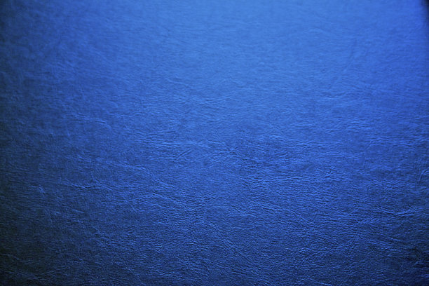 蓝色皮革织物纹理图案背景外星人皮肤恐龙爬行动物图片下载