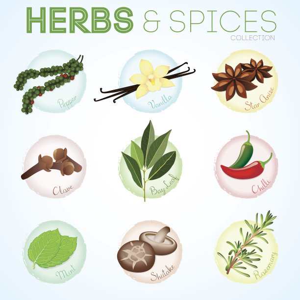 香草和香料图片下载