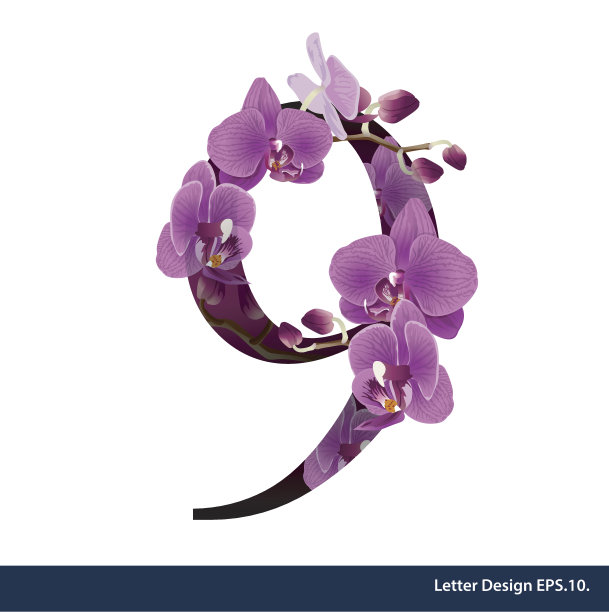 字母九带花。矢量插图。图片下载