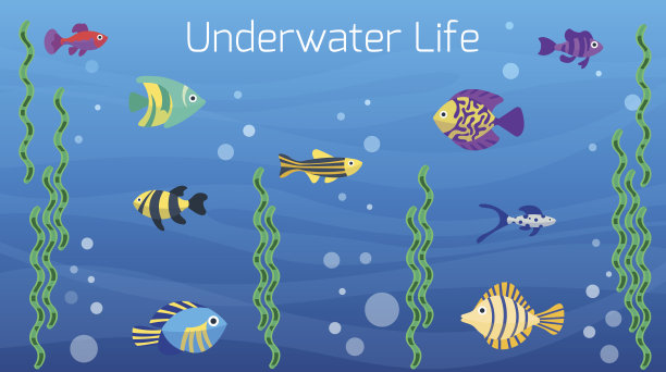 水下世界。可爱的卡通色彩各异的鱼图片下载