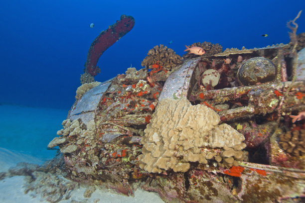 夏威夷失事飞机的潜水地点图片下载