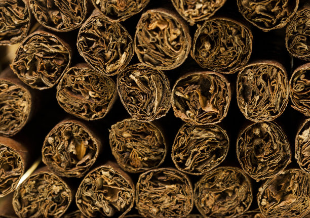 小雪茄,特写图片下载